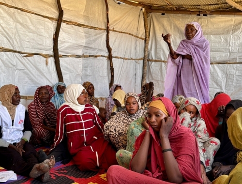 report about SGBV in Sudan